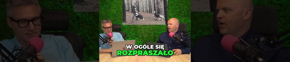 Puszysty Patrol Leśny: Border Collie Ratują Lasy w Najbardziej Uroczy Sposób!