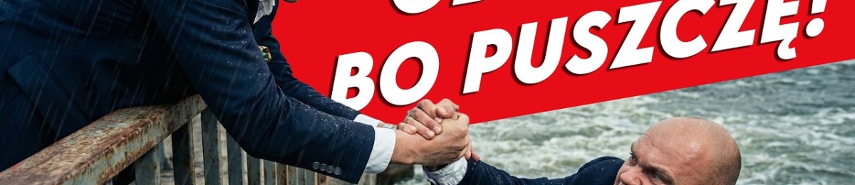 Niesamowite Historie z Życia: Foka-bohaterka, polski krawiec i kotka z lat 90-tych! 🐾🇵🇱